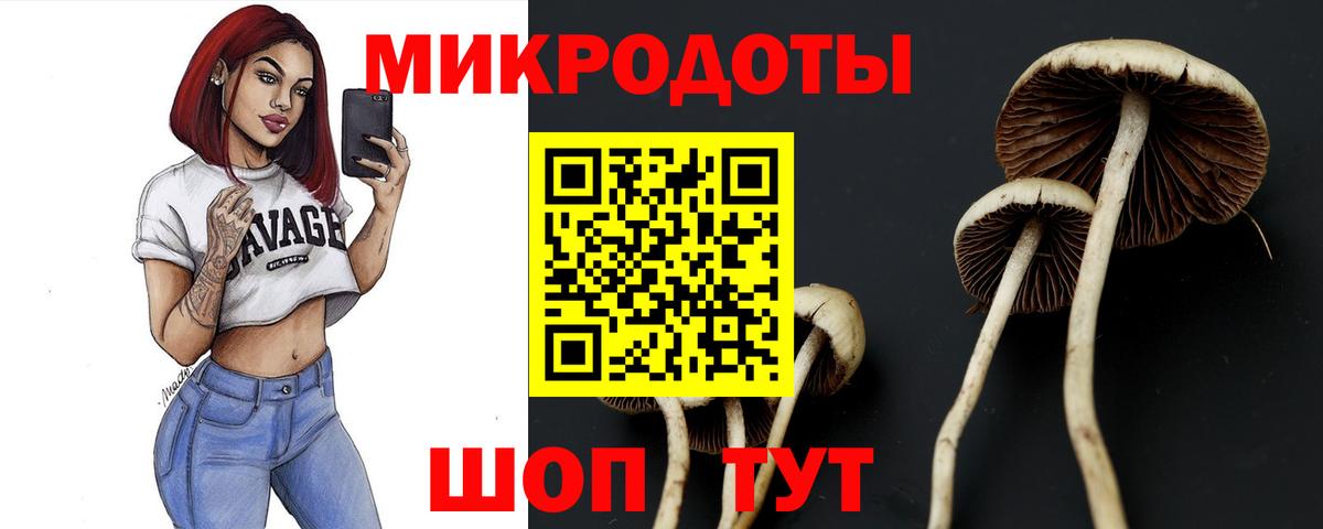 Галлюциногенные грибы MAGIC MUSHROOMS Зеленодольск